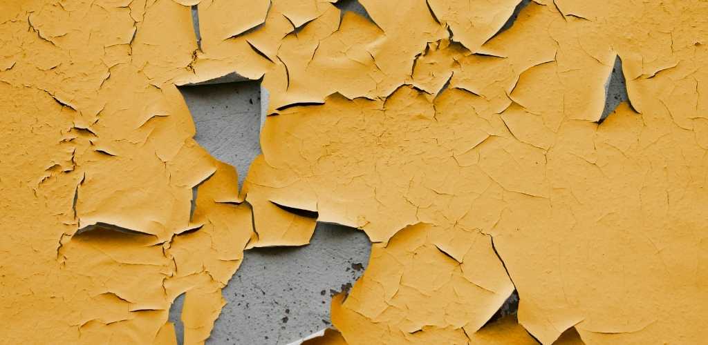How to Repair Peeling Paint Easy and Fast stepbystep guide!