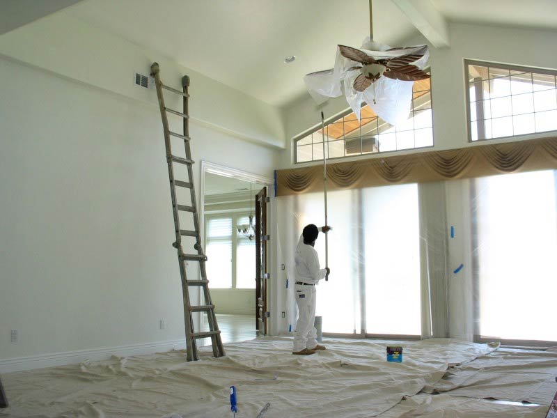 Gallery Lion Painting & Drywall Services Impressive Work